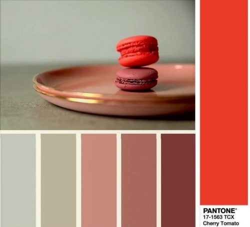 Pantone 17-1563 - Cseresznyeparadicsom