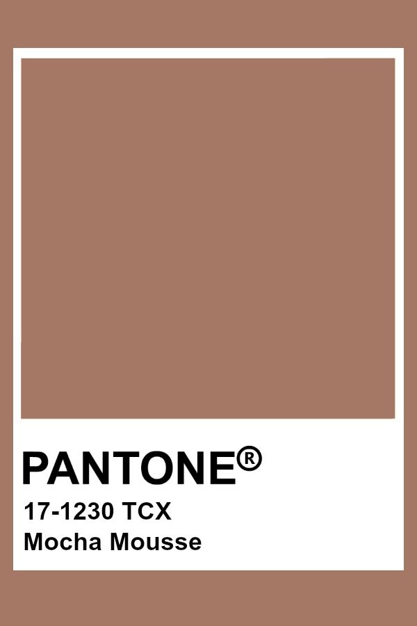 Fotó: Pantone 17-1230 - Kávéhab