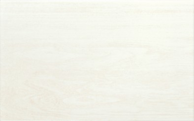 ZALAKERÁMIA ZBD42042 ASPEN 25X40 CSEMPE